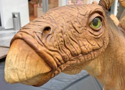 Die Dinos Erobern Jena 0007